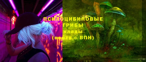винт Алексеевка