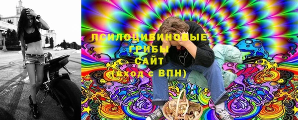 амф Алексин
